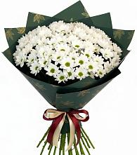 Букет цветов из:  Хризантемы #REPLACE_PRED# Ясном Ставропольского края