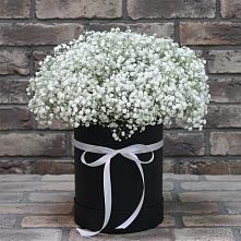 Цветочная композиция из Гипсофила в шляпной коробке в Ясном Ставропольского края