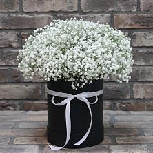 Цветочная композиция из Гипсофила в шляпной коробке в Ясном Ставропольского края