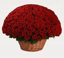 Премиум букет из: Розы в Ясном Ставропольского края